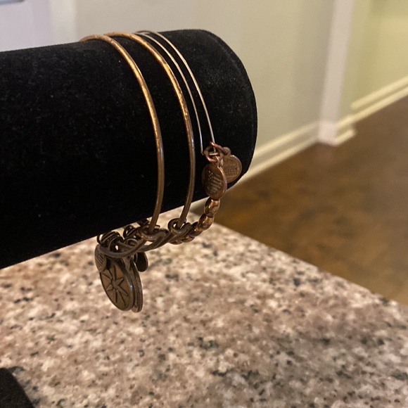 3 Alex and Ani bangles bronze - Picture 5 of 5